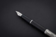 Ручка перьевая Waterman Embleme Black CT